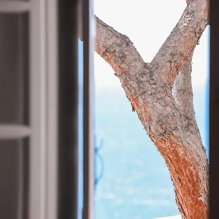 Horizon 4 度假居 *